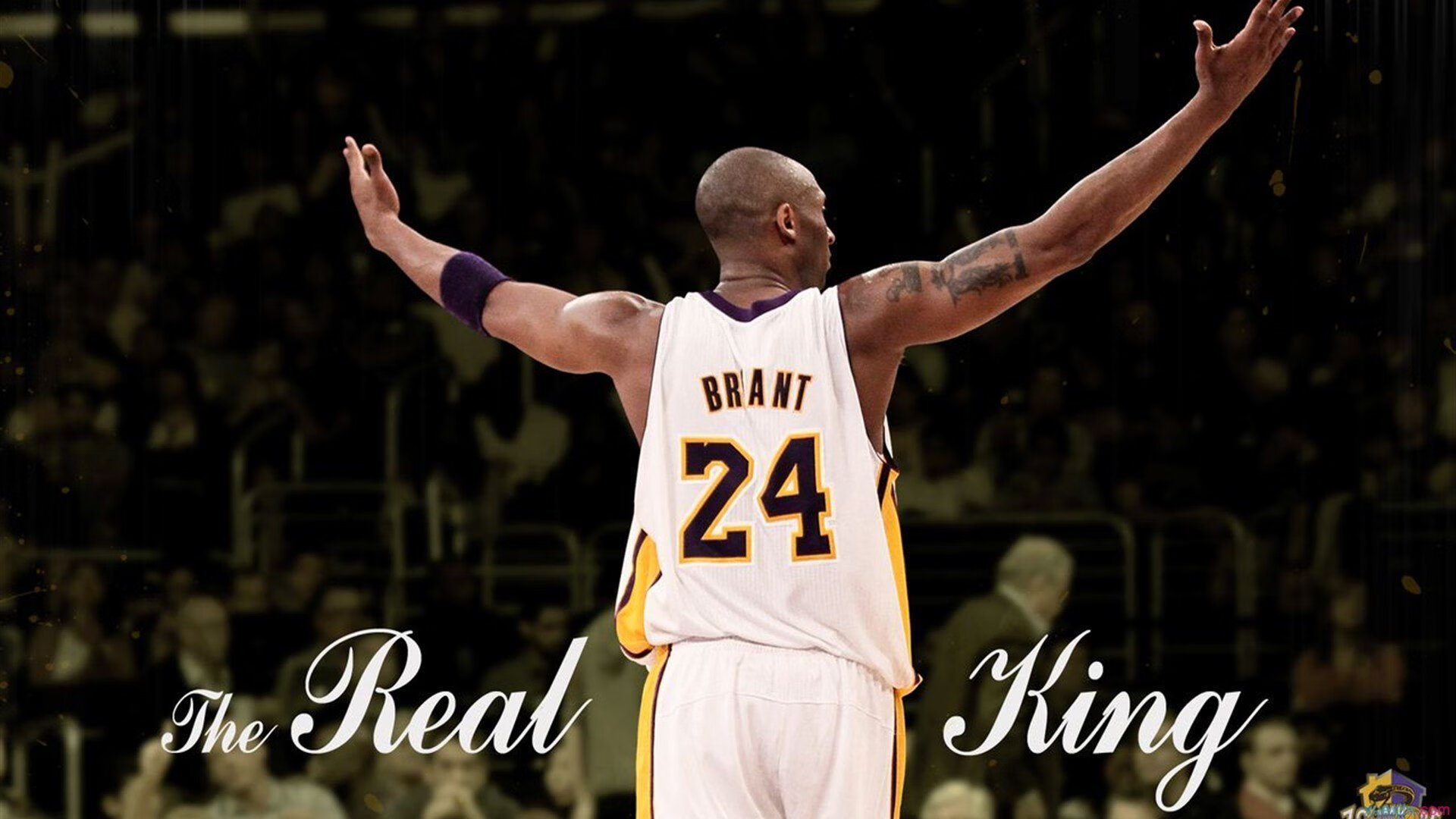 体育心理学助力运动员表现提升,运动员心理能力